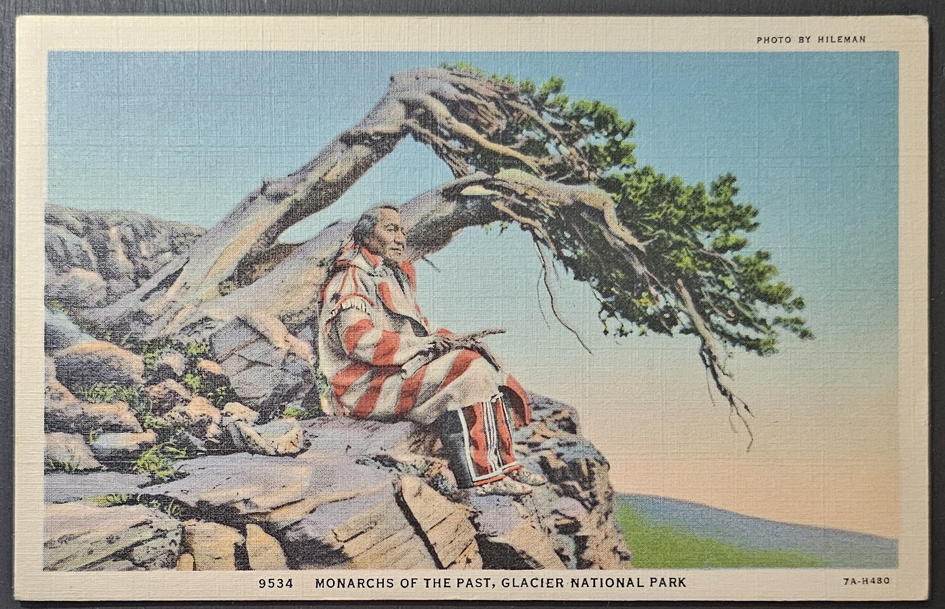 (image for) postcard USA - MT - Montana #0014